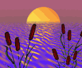 sunrise_over_pond_mc.gif (18154 bytes)